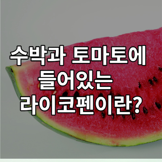 토마토와 수박