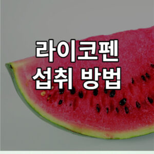 라이코펜 섭취방법